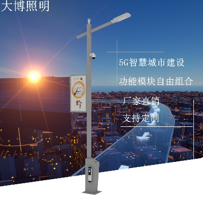 6米LED智能路燈高亮道路照明中式智慧燈桿公路智慧路燈廠(chǎng)家批發(fā)