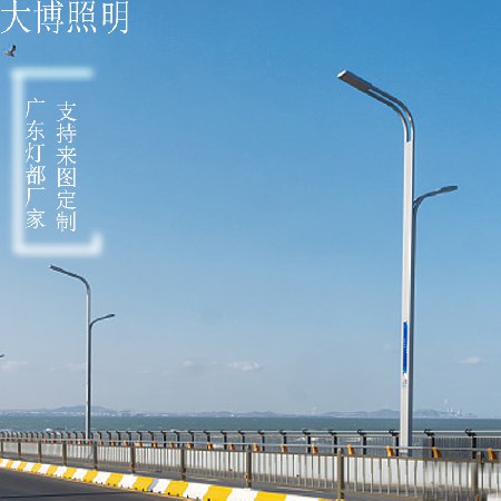 特色現(xiàn)代路燈簡(jiǎn)約高速路亮化工程照明高亮方形LED路燈廠家批發(fā)