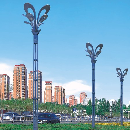LED玉蘭燈廣場(chǎng)裝飾道路照明中式特色八叉九火玉蘭燈景觀燈廠家